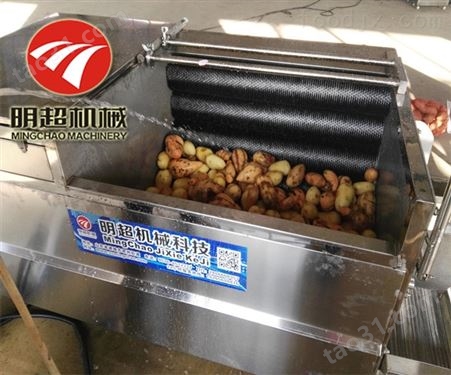 小型洗土豆机生产厂家马铃薯清洗机价格