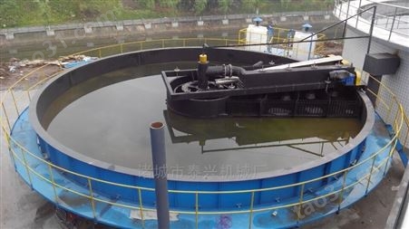 泰兴供应一体式印染污水处理用浅层气浮机