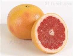 唐朝食品 葡萄柚粉 果蔬粉 水果粉 果汁粉