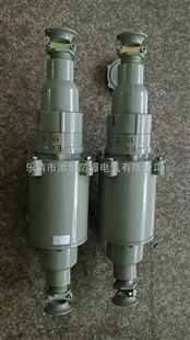 BZC8050-16/32/63防爆防腐插接装置