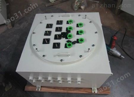 BXD53钢板防爆配电箱